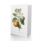 image 2 of Pierre-Joseph Redouté Art Card Bitter Orange Vintage Botanical