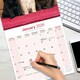 image 5 of Labrador Retrievers (Chocolate, Black, Yellow, Fox Red) 2026 Calendar | Square Wall Calendar | Dog Breed Gift | Plastic Free Packaging | by Avonside Publishing