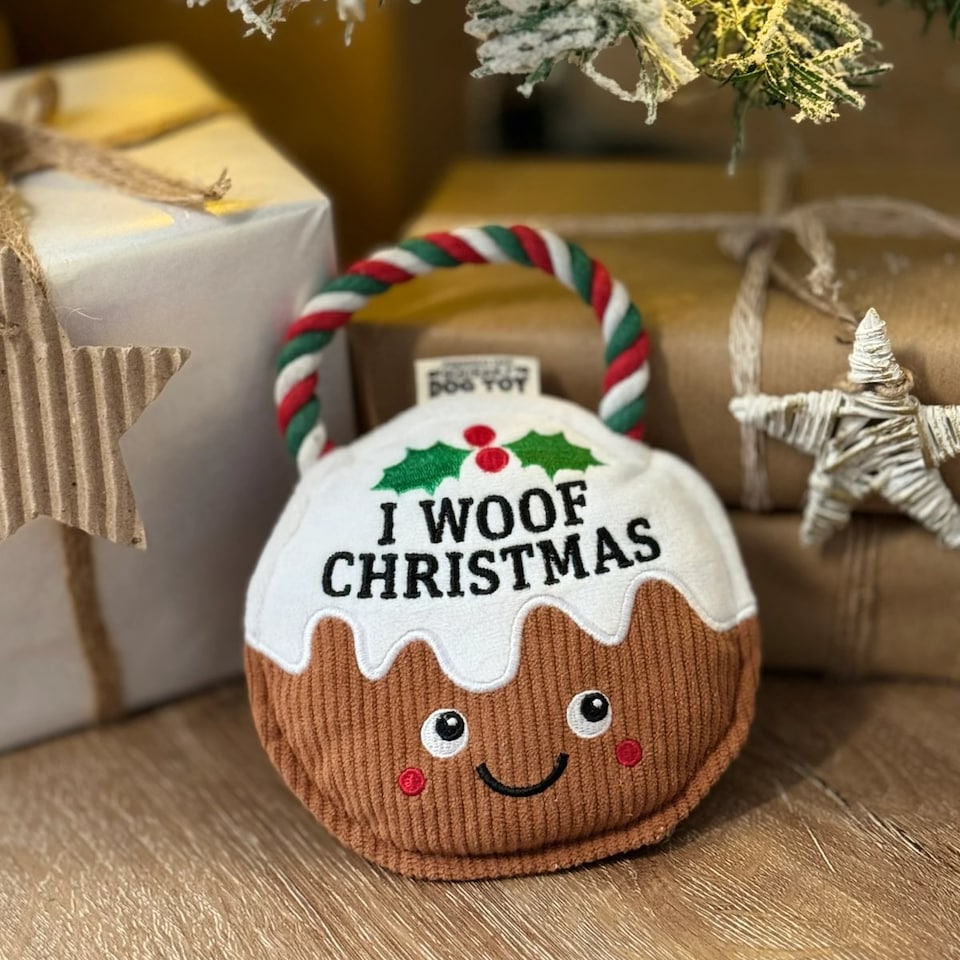 image 1 of Pre-personalised Christmas Dog Toy Gift - Over 80 Titles - Daisy