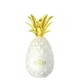 image 1 of Pinaq Liqueur Colada