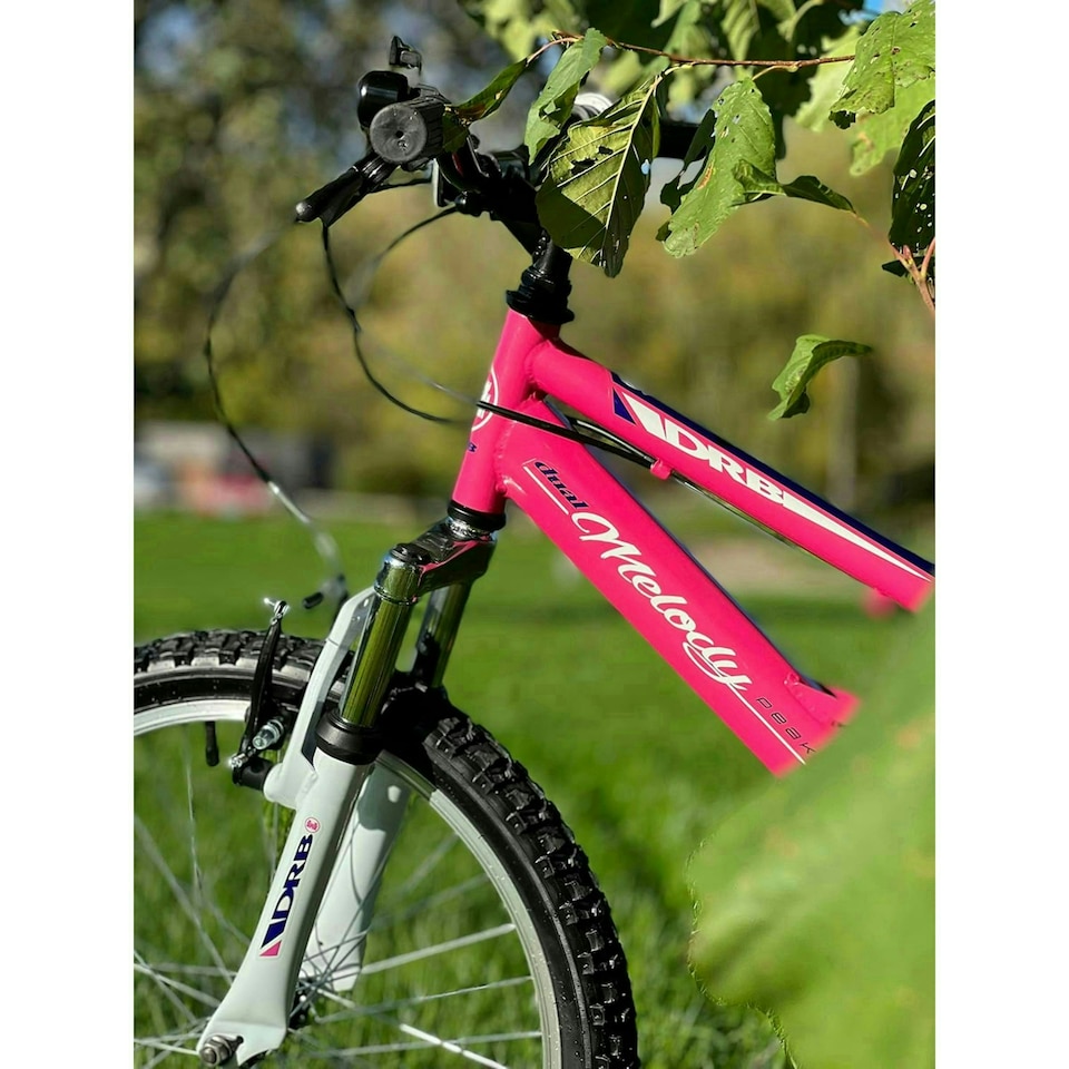 image 1 of Dallingridge Melody 20" Girls Full Suspension Mountain Bike - Pink/Blue