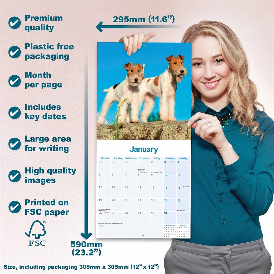 image 1 of Fox Terrier (Wire Haired) 2026 Calendar | Square Wall Calendar | Dog Breed Gift | Plastic Free Packaging | by Avonside Publishing