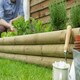 image 4 of Forest Garden Bed Builder Pack - Grow Your Own
