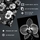 image 4 of Flower Floral Aesthetic Black White Wall Art Set of 50 Unframed A6 Prints