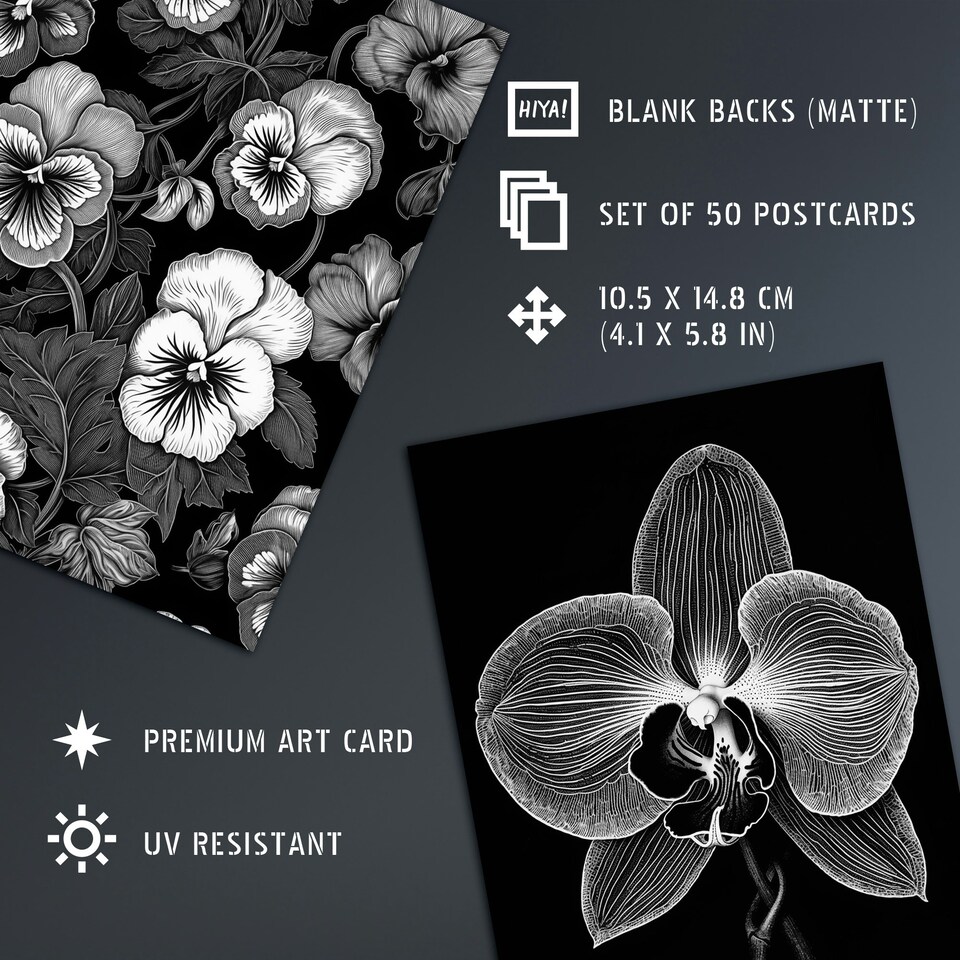 image 1 of Flower Floral Aesthetic Black White Wall Art Set of 50 Unframed A6 Prints