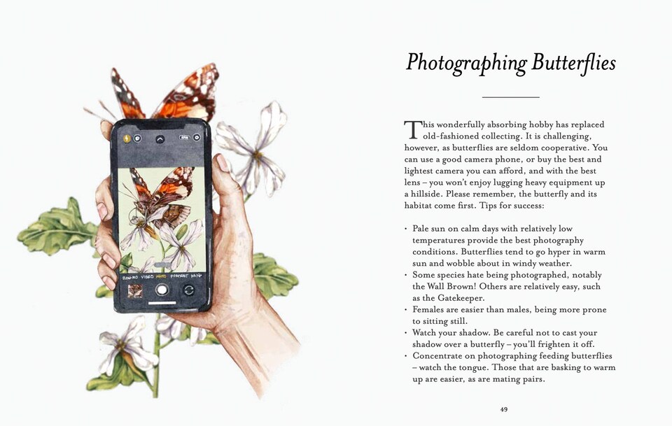 image 1 of The Butterfly Spotter’s Guide