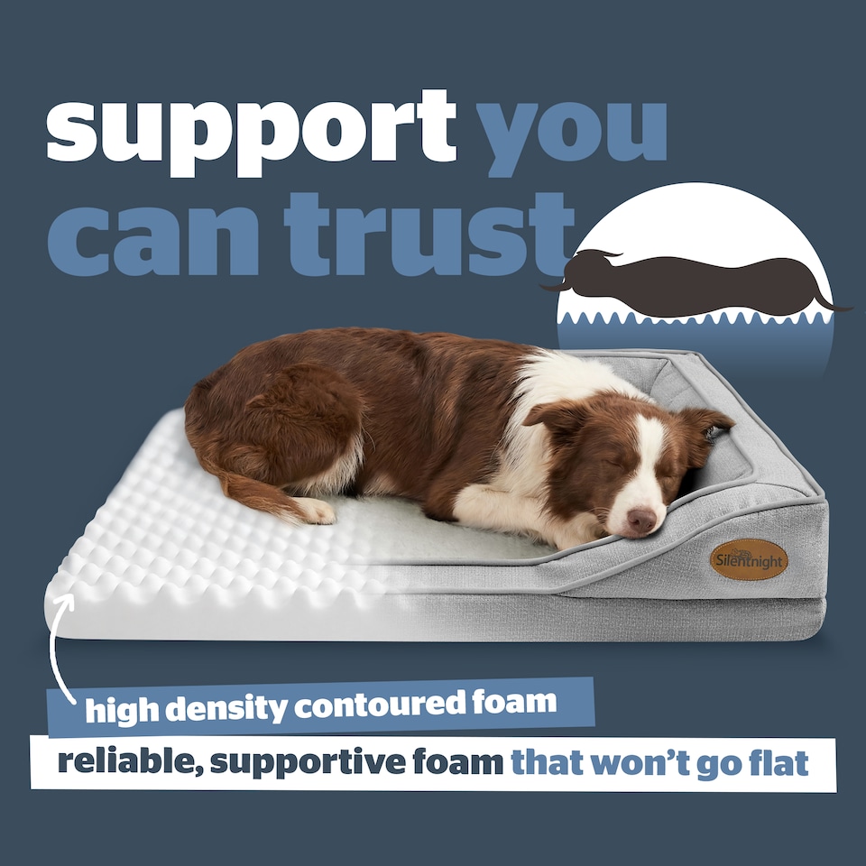 image 1 of Silentnight Orthopaedic Pet Bed