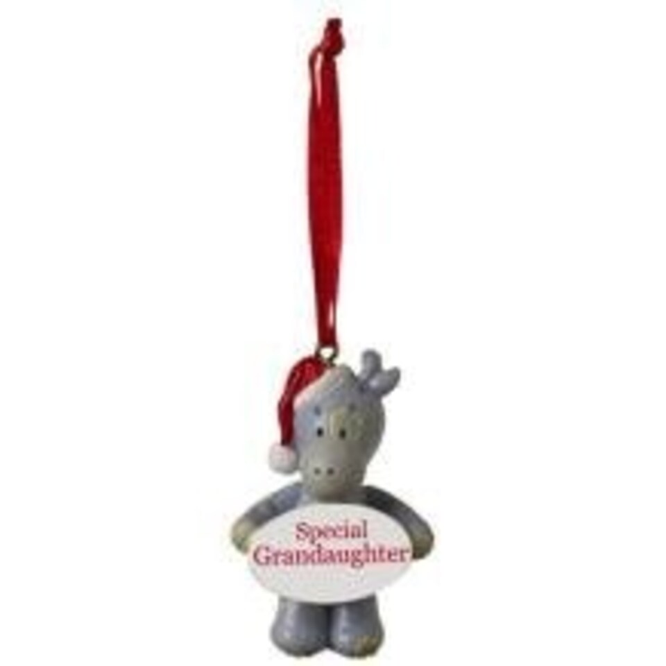 image 1 of Elliot and Buttons Special Granddaughter Christmas Tree Decoration