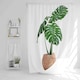 image 1 of Monstera Shower Curtain