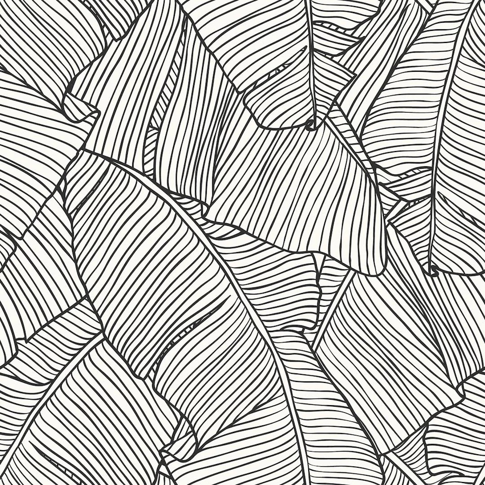 image 1 of Banana Leaf Wallpaper in Mono | White | Black, Light, White | 50cm x 10m