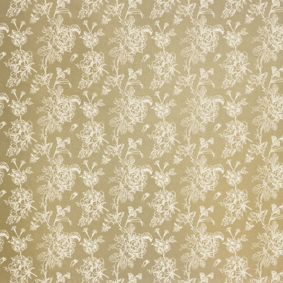 image 1 of D & D Jasmine Pencil Pleat Curtains Champagne