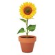image 1 of MidOcean Sunflower Terracotta Seed Plant Pot - Wood - 5cm x 6cm x 5.5cm
