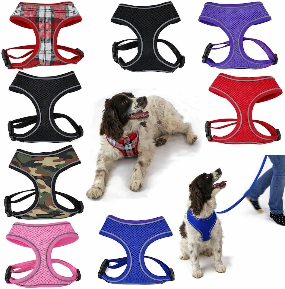 image 1 of No-Pull Dog Harness – Reflective Adjustable Mesh Vest for Dogs – Lightweight, Padded & Breathable – Easy Fit for Walking or Training – Multiple Sizes & Colours