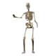image 1 of Home Accents Holiday 12ft Standing Giant Halloween Skeleton with LCD Eyes and Posable Arms