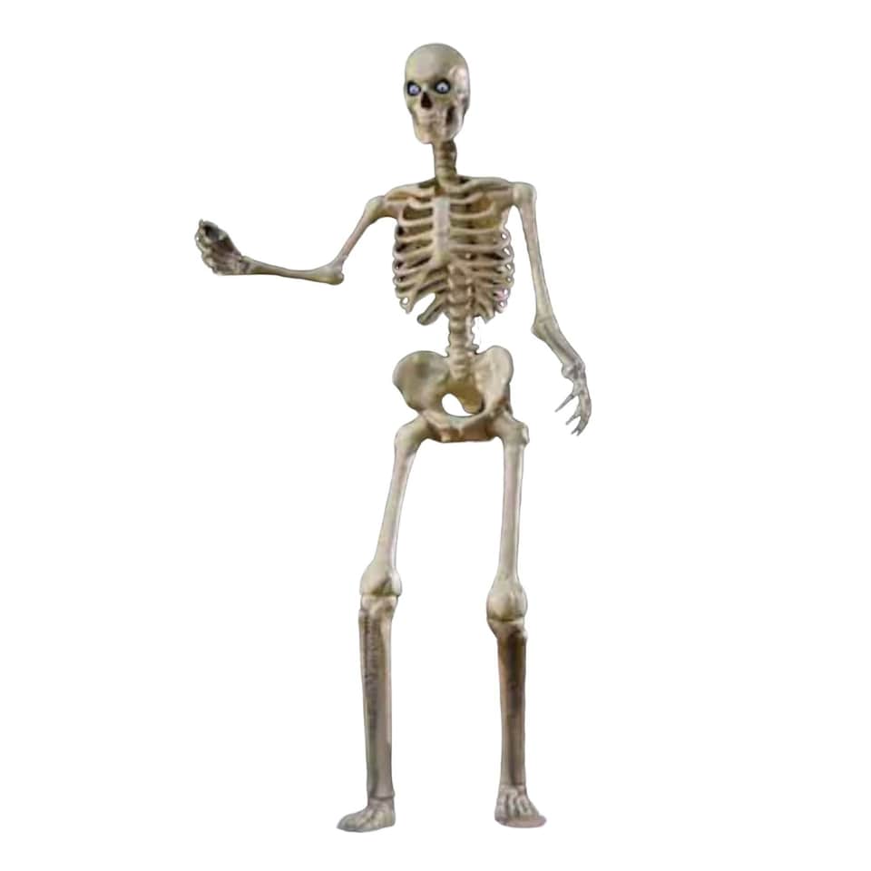 image 1 of Home Accents Holiday 12ft Standing Giant Halloween Skeleton with LCD Eyes and Posable Arms