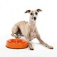 image 2 of M-PETS CAVITY - Slow feed bowl round Orange