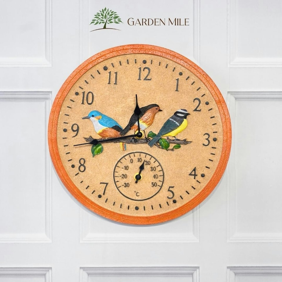 image 1 of Marco Paul 30cm Multicoloured Bird Design Clock and Thermometer Multi