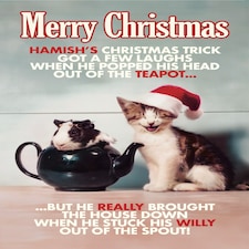 Hamish's Christmas Trick... - Funny Pets Christmas Card