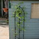 image 1 of Single Gothic Screen Bare Metal/Ready to Rust - Steel - L2 x W24 x H180 cm