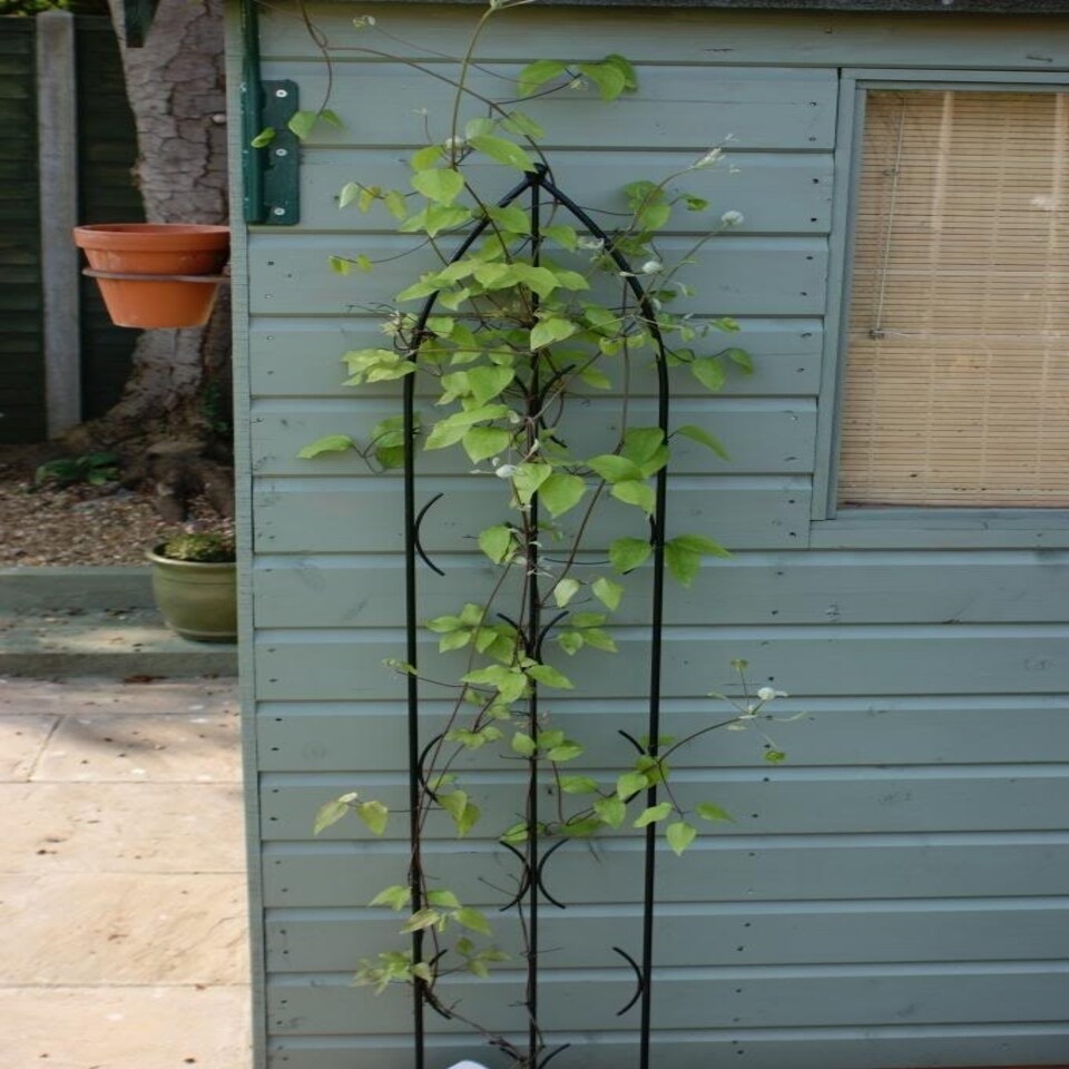 image 1 of Single Gothic Screen Bare Metal/Ready to Rust - Steel - L2 x W24 x H180 cm