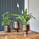 image 10 of Opulent Metallic Planter Gold