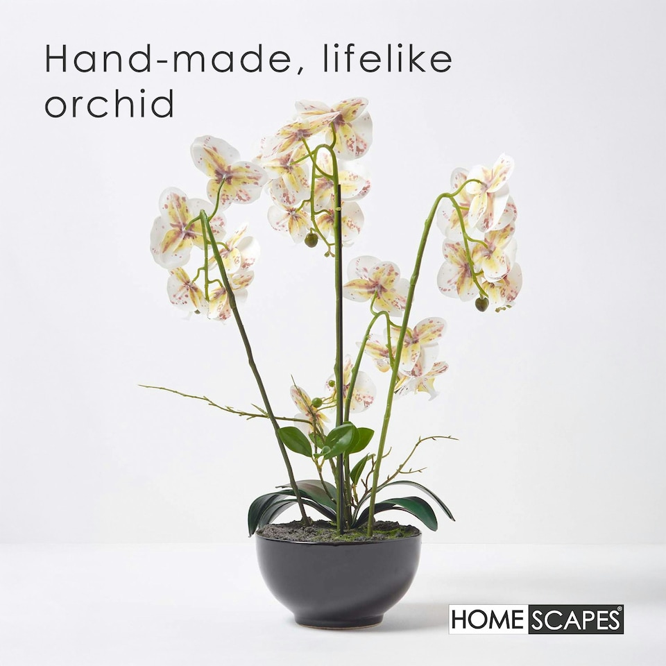 image 1 of Homescapes White Orchid 62 cm Phalaenopsis in Ceramic Pot Extra Large, 5 Stems