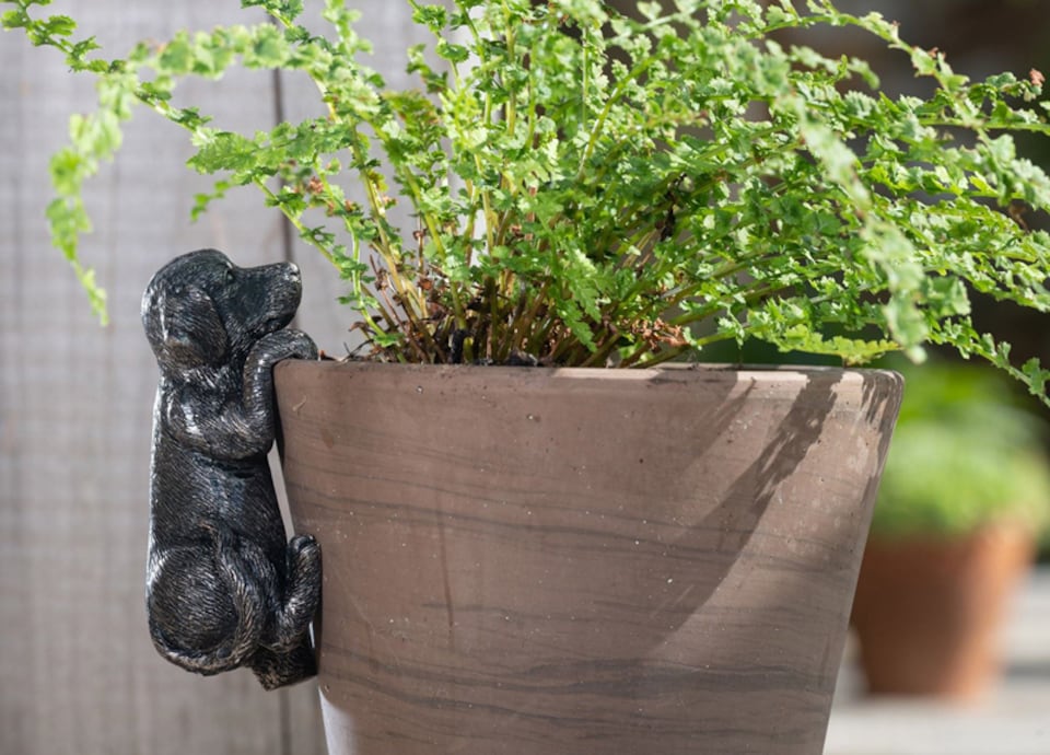 image 1 of Labrador Plant Pot Hanger - L5 x W5 x H10 cm | Black