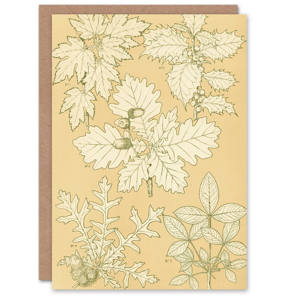 image 1 of Owen Jones Art Card Oak Leaves and Acorns Vintage Botanical