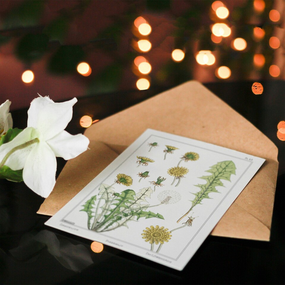 image 1 of Maurice Pillard Verneuil Art Card Dandelion Flower Plant