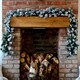 image 1 of Premier 2.7m Snow Flocked Pine Christmas Garland with Glitter Finish