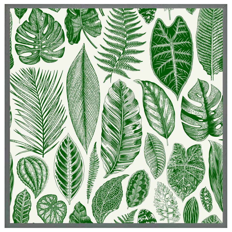 image 1 of Leaves mixed (Picture Frame) White | L