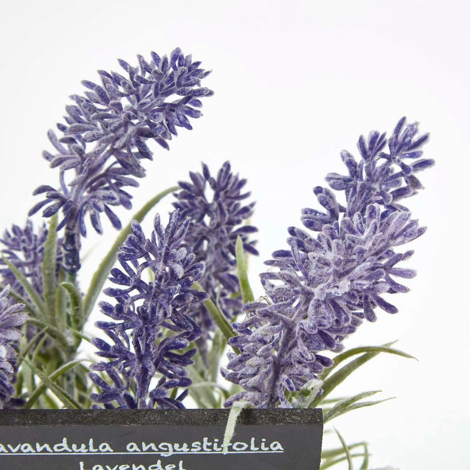 image 1 of Homescapes Artificial Lavender Plant in Decorative Pot