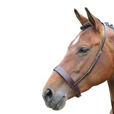 Blenheim Leather Horse Cavesson Noseband - Havana - Pony