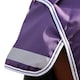 image 2 of Highlander Original 100 Standard-Neck 100g Horse Turnout Rug - Plum - 7´ 3"