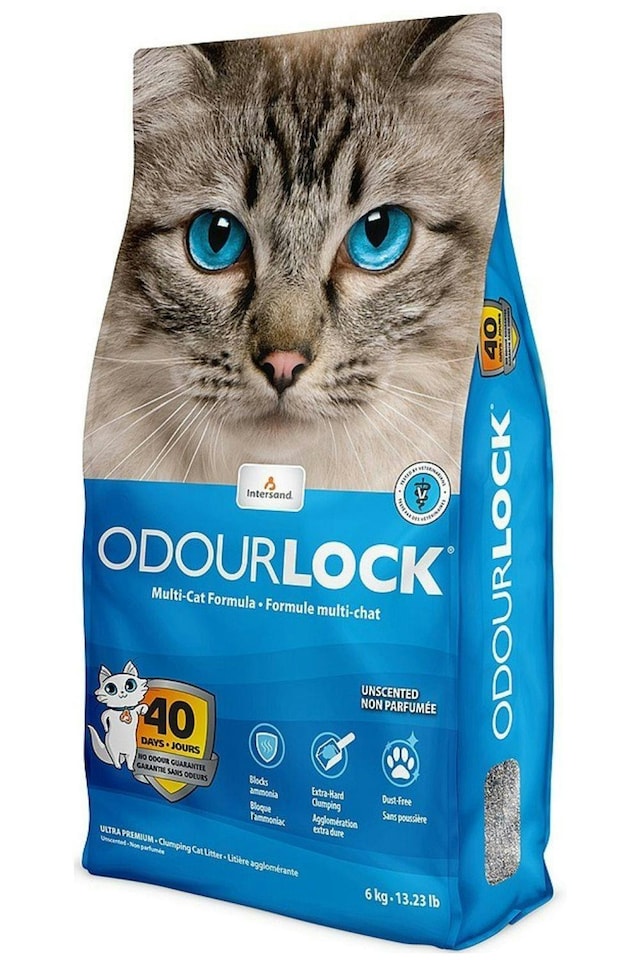Intersand Odourlock Unscented Clumping Cat Litter 6kg