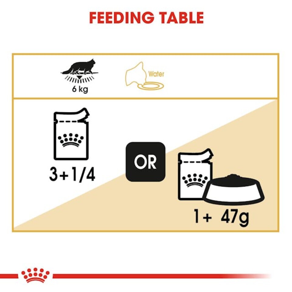 image 1 of Royal Canin Maine Coon Adult Wet Cat Food in Gravy Pate - 48 x 85 g | Multi | 48 x 85g | 1