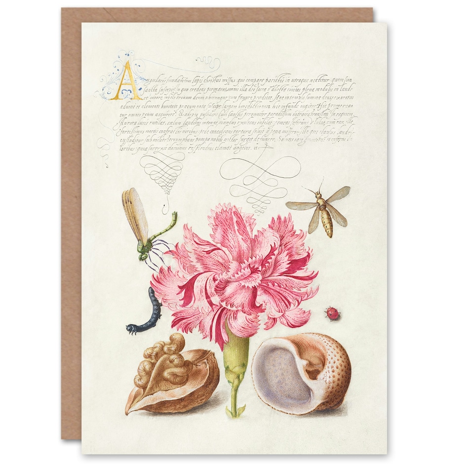 image 1 of Model Book of Calligraphy Art Card Carnation Walnut and Mollusk