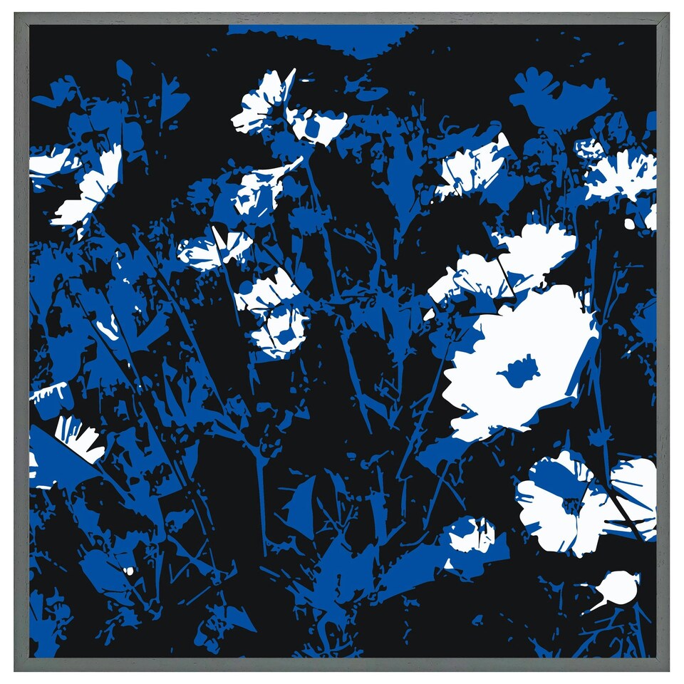 image 1 of Field of flowers (Picutre Frame) Grey | XL