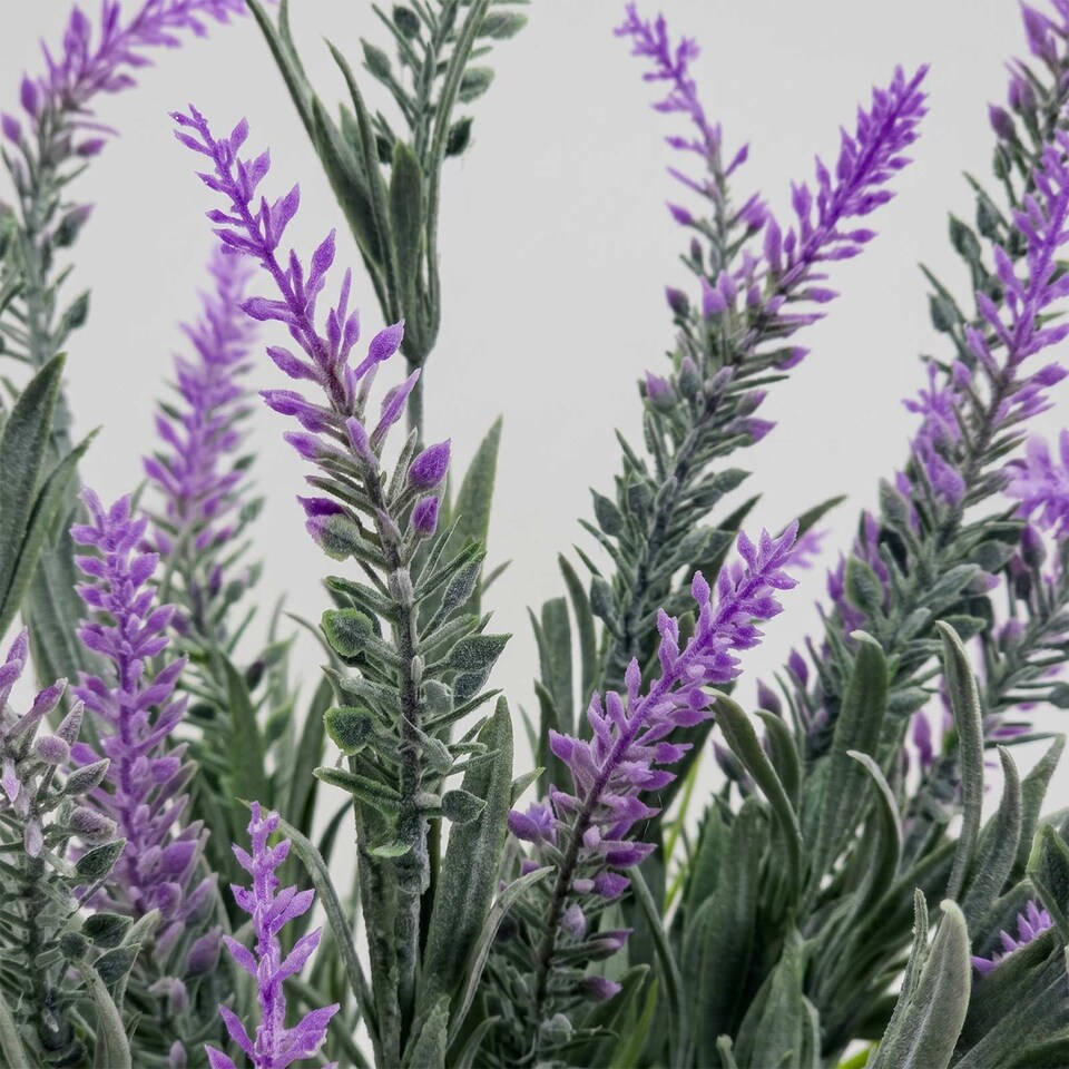 image 1 of Homescapes Artificial Potted Lavender Plant, 45cm, Purple