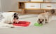 image 6 of M-PETS LECCA Mat Red L