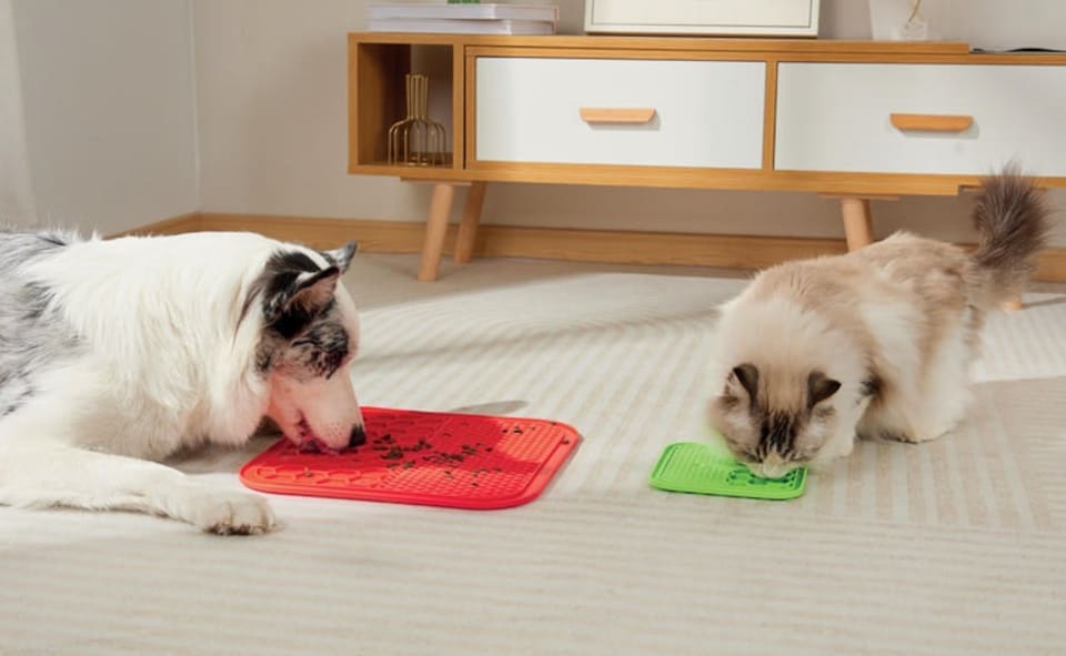 image 1 of M-PETS LECCA Mat Red L