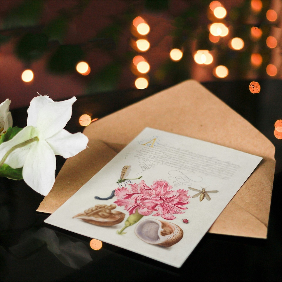 image 1 of Model Book of Calligraphy Art Card Carnation Walnut and Mollusk