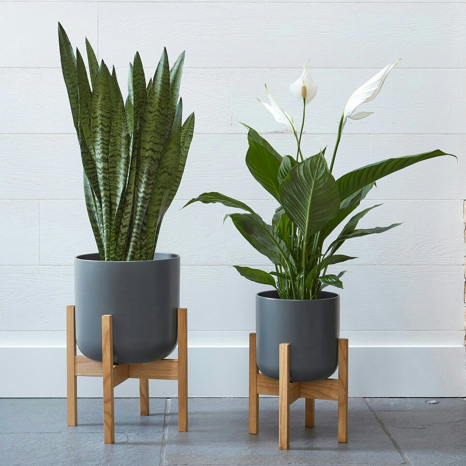 image 1 of Lisbon Pot and Stand - Ceramic - D26 cm - White | White