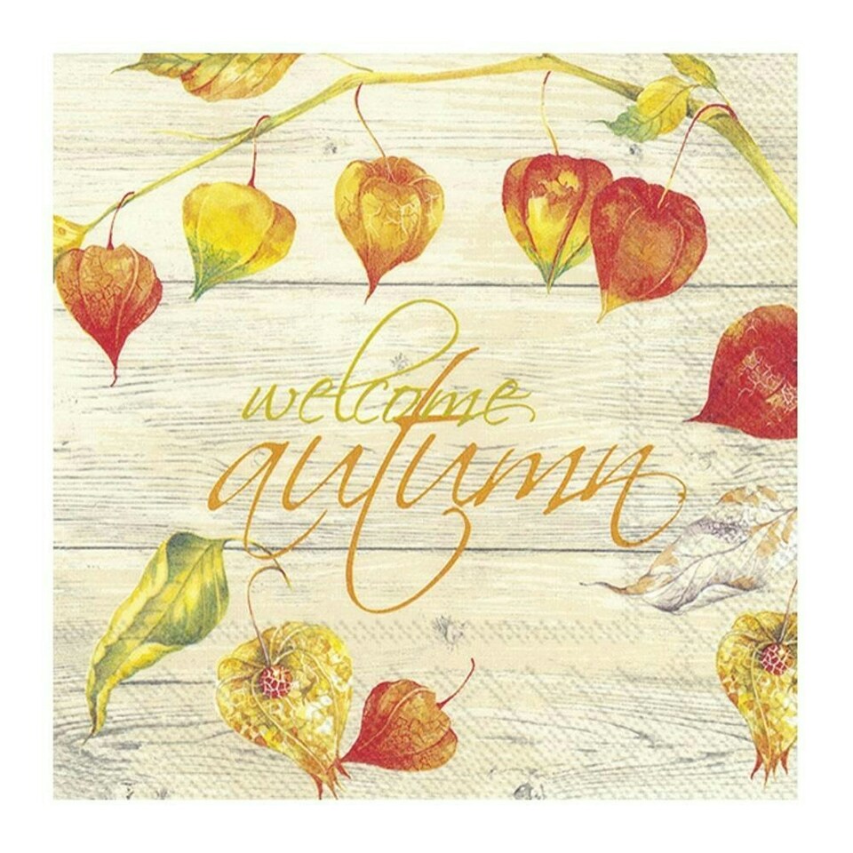 IHR Lunch Napkins Welcome Autumn Cream 33cm 3ply 20 Pack