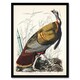 image 1 of John James Audubon Framed Wall Art Print Birds of America Wild Turkey Home Décor