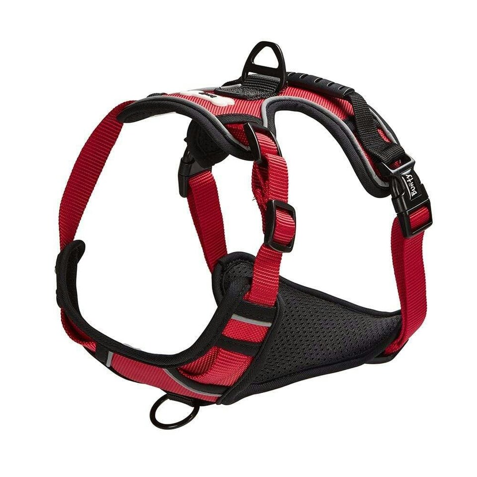 image 1 of Bunty Adventure Harness Red | M