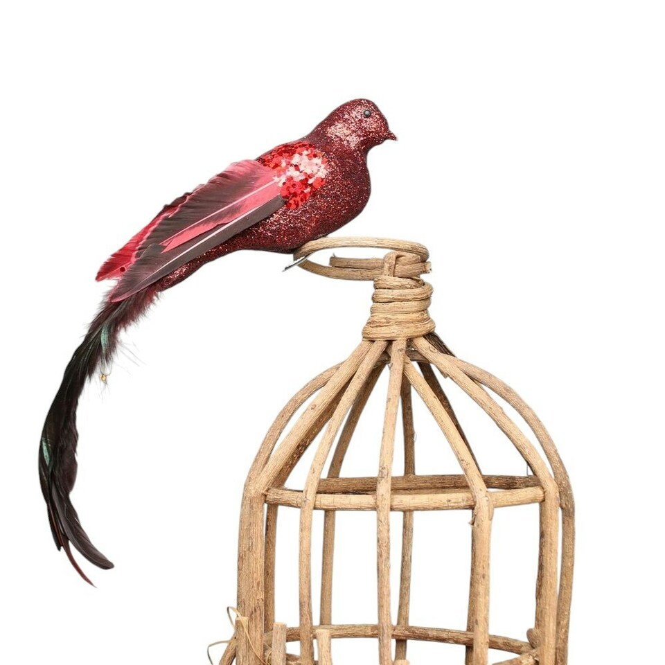 image 1 of Large Decorative Red Paradise Bird With Clip - 35cm