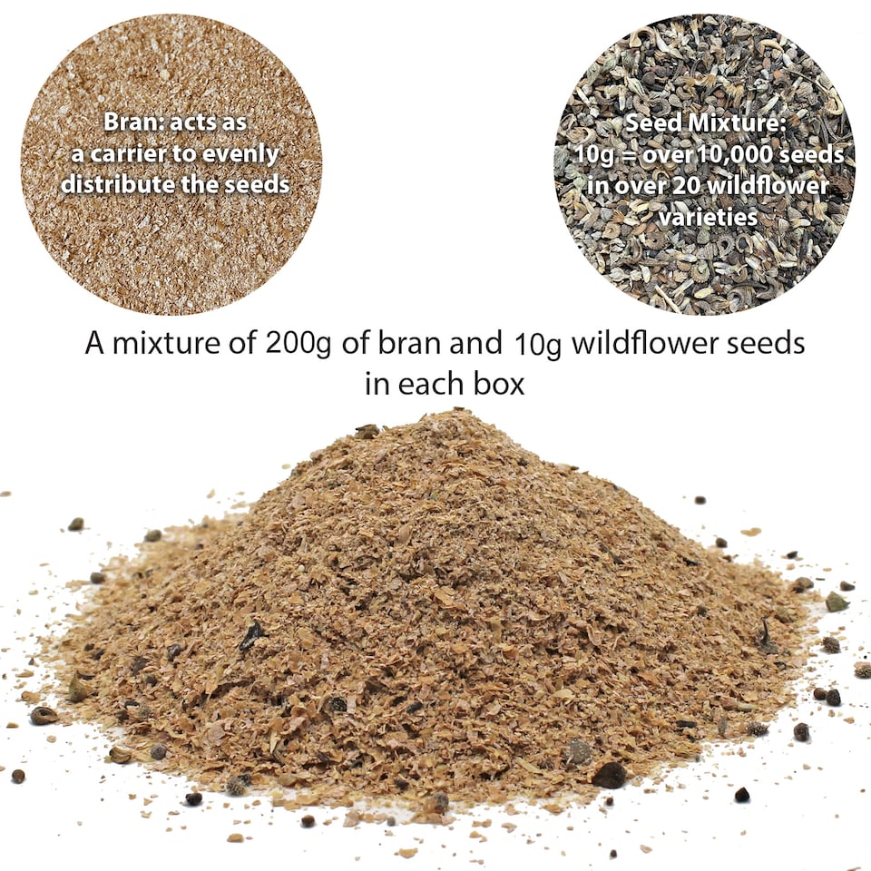 image 1 of Pronto Seed Wildflower Rainbow Garden Seed Shaker - 25m2 Garden Flower Seeds | Multi | Rainbow Garden 25m2 | 1