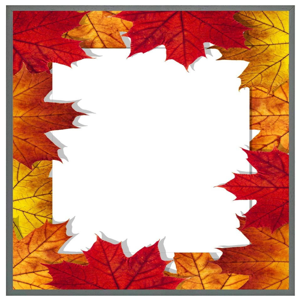 image 1 of Autumn border (Picture Frame) Black | S