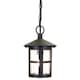 image 1 of Hereford 1 Light Outdoor Ceiling Lantern Black IP43, E27